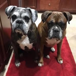 Meet your Posher, Tammy